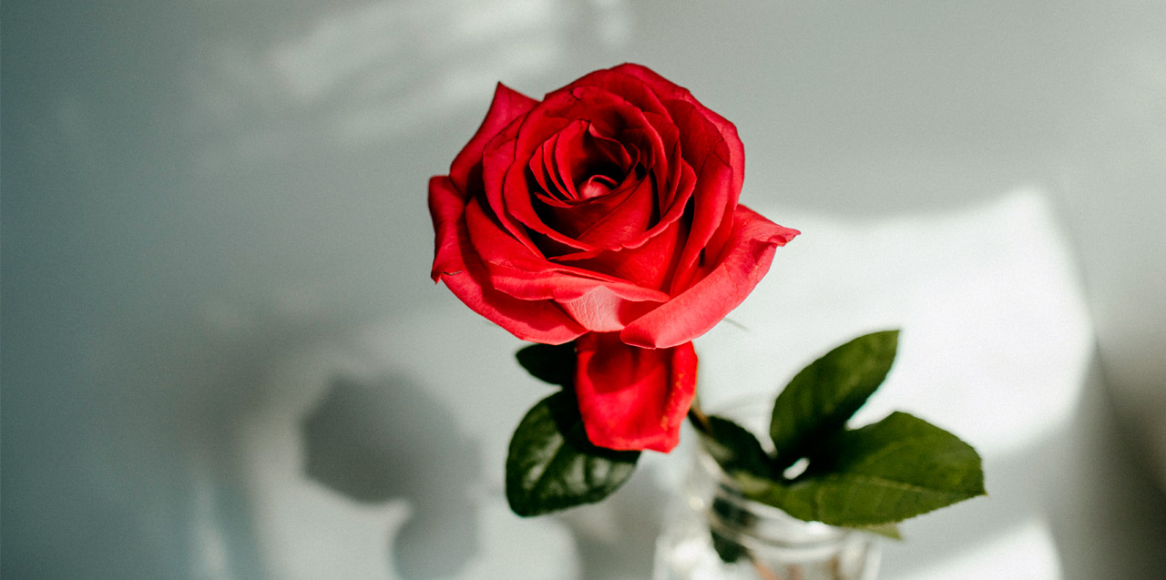Sant Jordi 2021